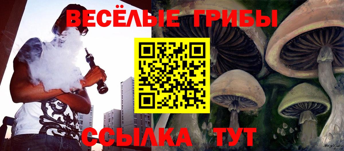 где купить наркоту  Псилоцибиновые грибы Psilocybine cubensis  Вход с VPN  Нальчик 