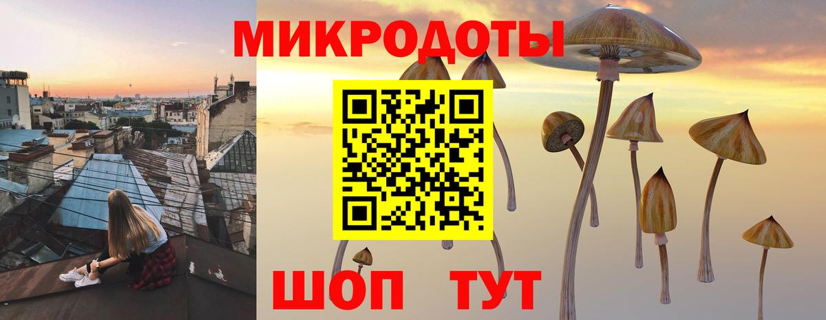 Галлюциногенные грибы мухоморы Нальчик
